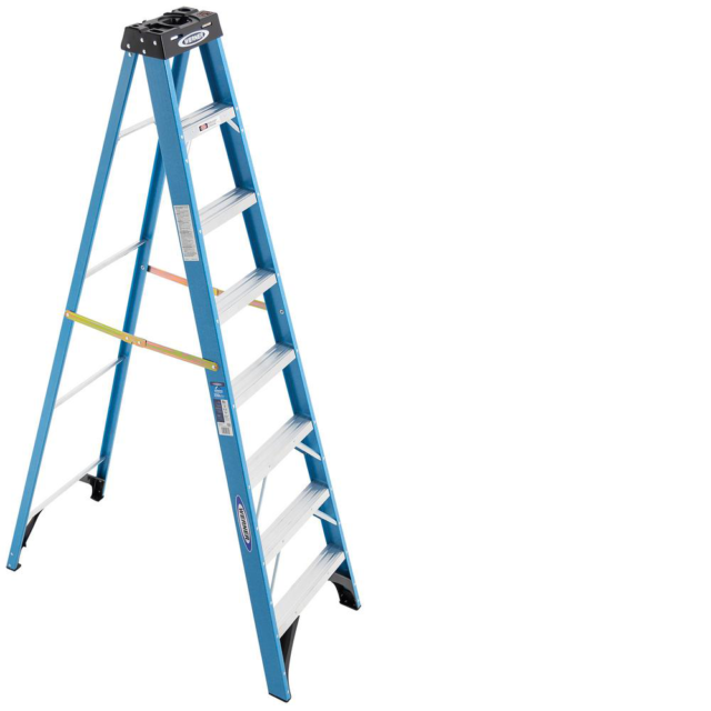 Werner Fiberglass Ladder (DM APPROVAL)